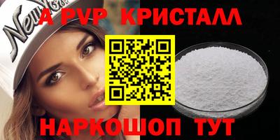 спиды Новодвинск