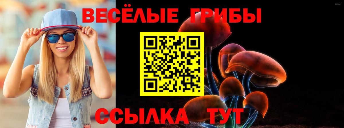 Псилоцибиновые грибы Psilocybe  где купить   Пугачёв  Вход с VPN 